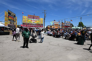2025 Berea Rib image 